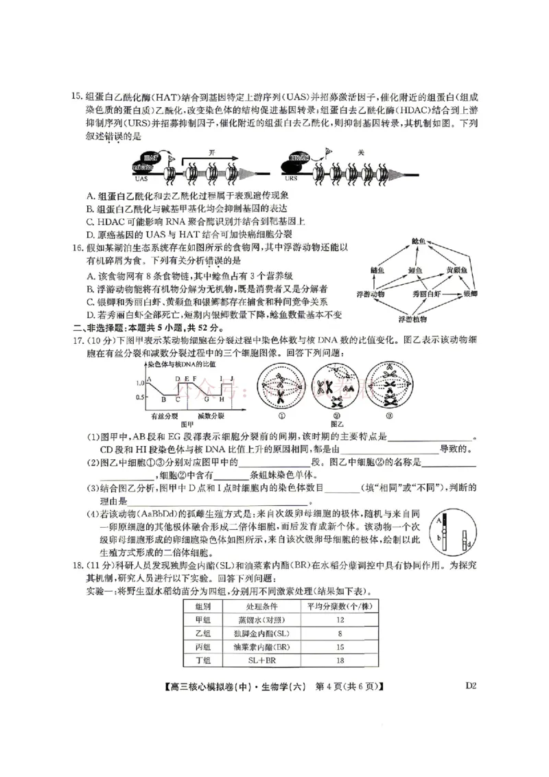《2026年九师联盟高三核心模拟卷中（六）生物_12.2026年4月全国各地高考模拟卷_2026届九师联盟高三核心模拟卷中（六）全科_06生物_九师联盟高三核心模拟卷中（六）》第4页预览