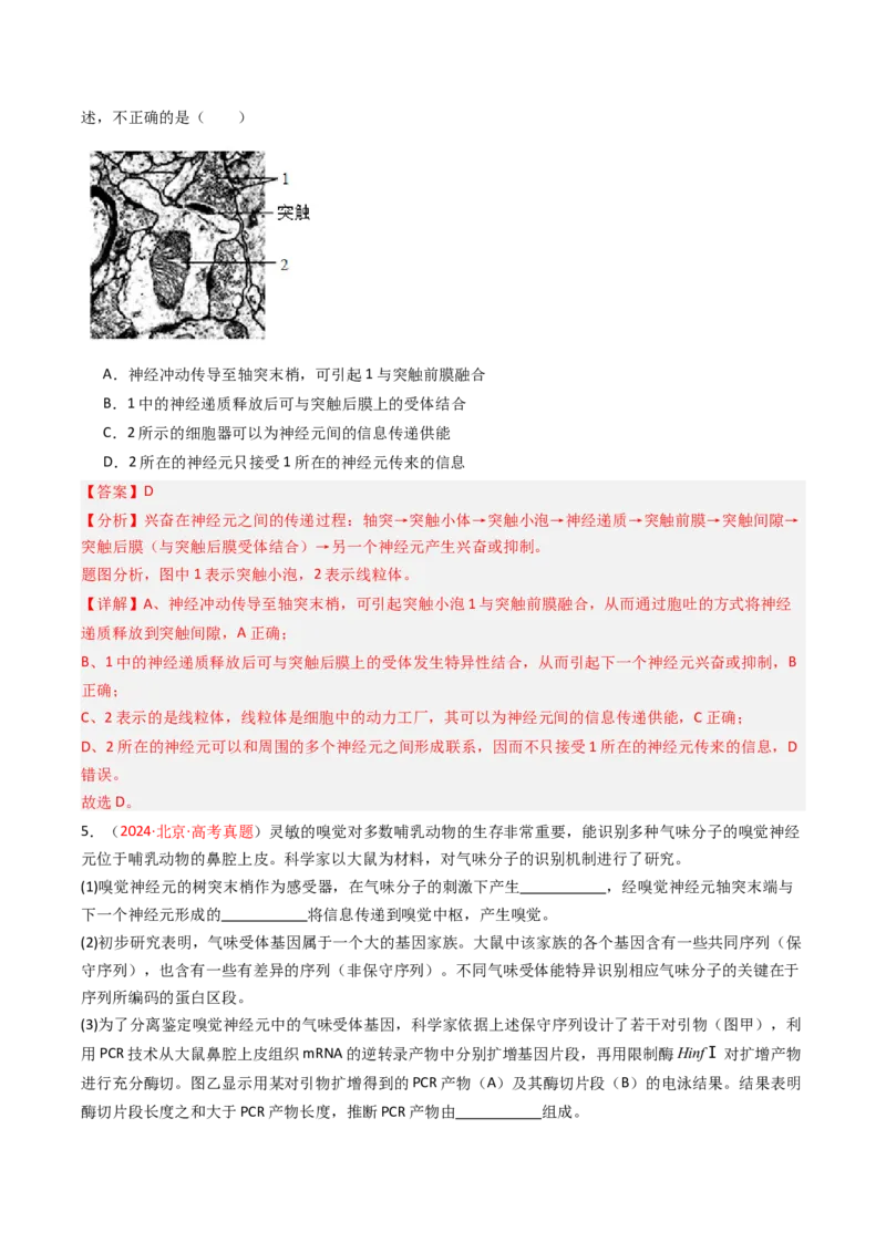 《专题10神经调节（北京专用）（教师版）_北京高考全科_生物_5年（2021-2025）高考生物真题分类汇编（北京专用）》第3页预览