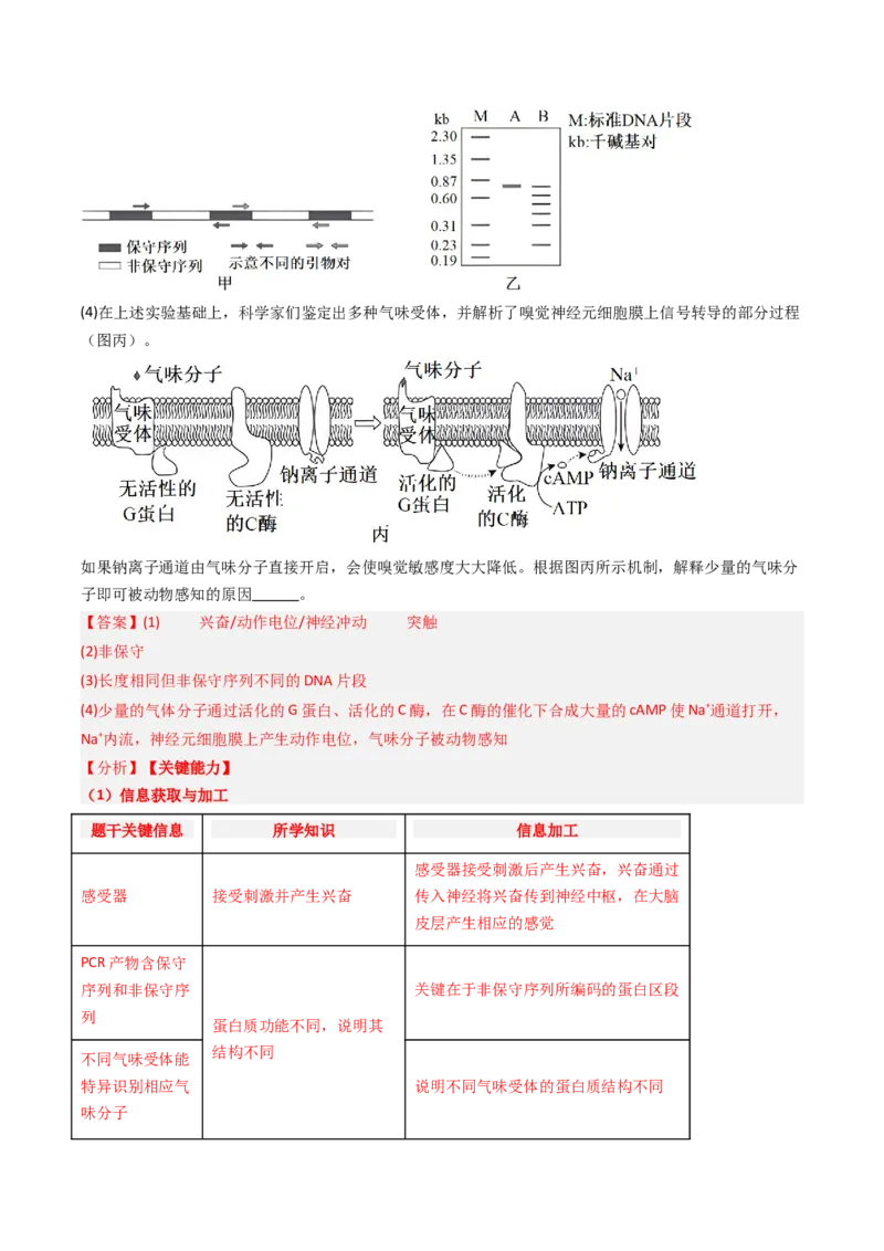 《专题10神经调节（北京专用）（教师版）_北京高考全科_生物_5年（2021-2025）高考生物真题分类汇编（北京专用）》第4页预览