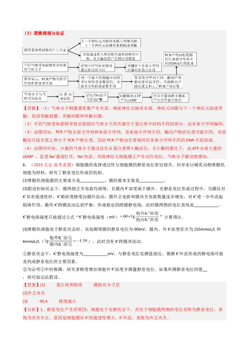 《专题10神经调节（北京专用）（教师版）_北京高考全科_生物_5年（2021-2025）高考生物真题分类汇编（北京专用）》第5页预览