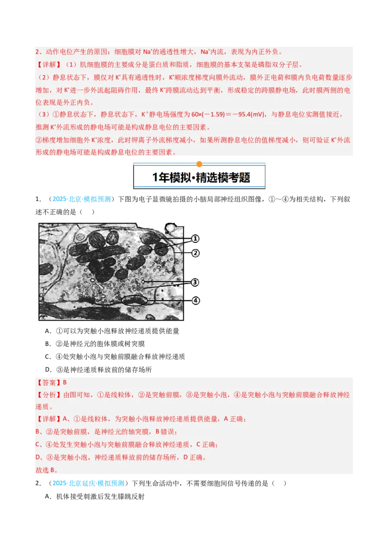 《专题10神经调节（北京专用）（教师版）_北京高考全科_生物_5年（2021-2025）高考生物真题分类汇编（北京专用）》第6页预览