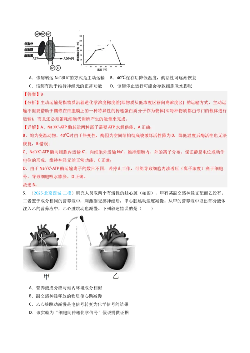 《专题10神经调节（北京专用）（教师版）_北京高考全科_生物_5年（2021-2025）高考生物真题分类汇编（北京专用）》第8页预览