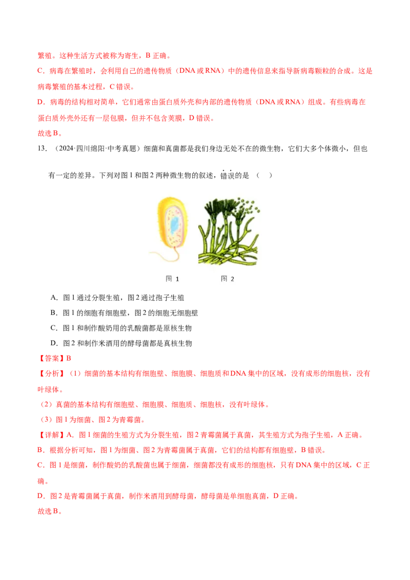 《专题09各种各样的生物（全国通用）（教师版）_2026年中考真题分类汇编9科_三年（2023-2025）中考生物真题分类汇编（全国通用）-C432》第8页预览