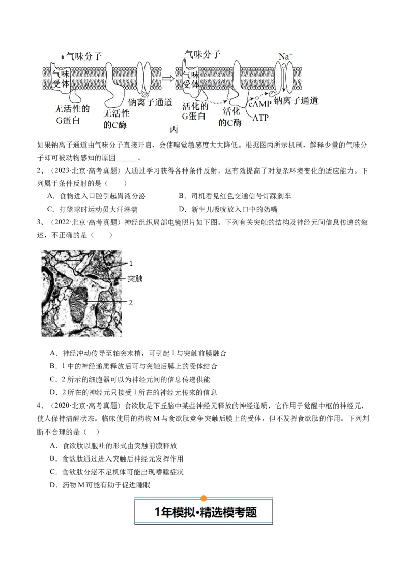 《专题11神经调节（学生版）_北京高考全科_生物_五年（2020-2024）高考生物真题分类汇编（北京专用）》第2页预览