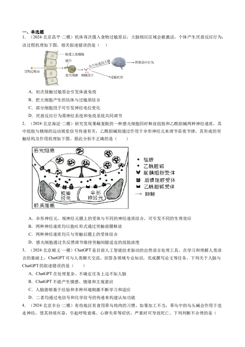 《专题11神经调节（学生版）_北京高考全科_生物_五年（2020-2024）高考生物真题分类汇编（北京专用）》第3页预览