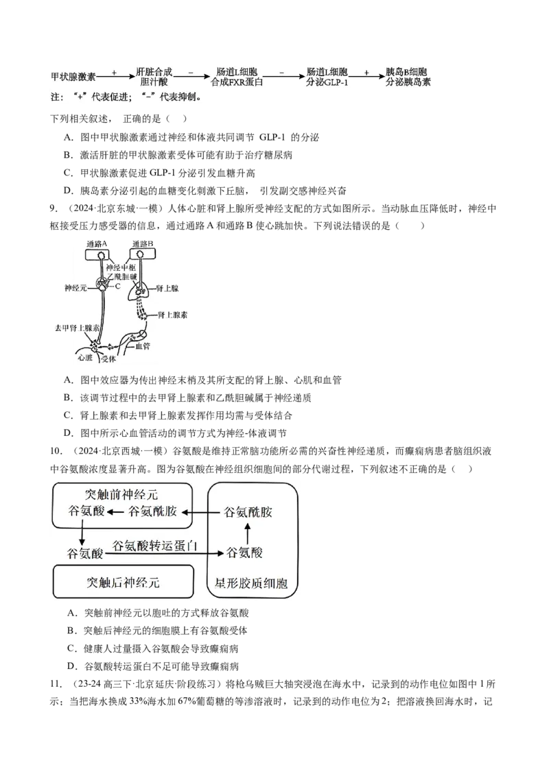 《专题11神经调节（学生版）_北京高考全科_生物_五年（2020-2024）高考生物真题分类汇编（北京专用）》第5页预览