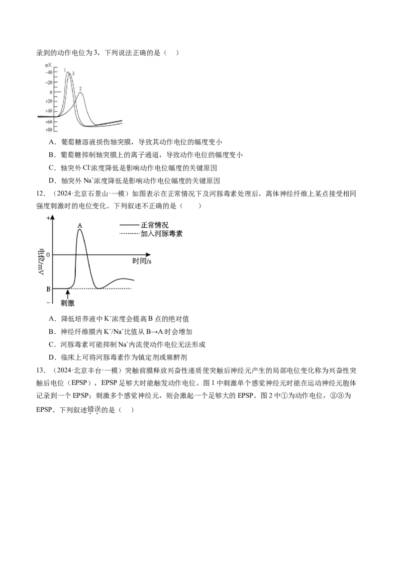 《专题11神经调节（学生版）_北京高考全科_生物_五年（2020-2024）高考生物真题分类汇编（北京专用）》第6页预览