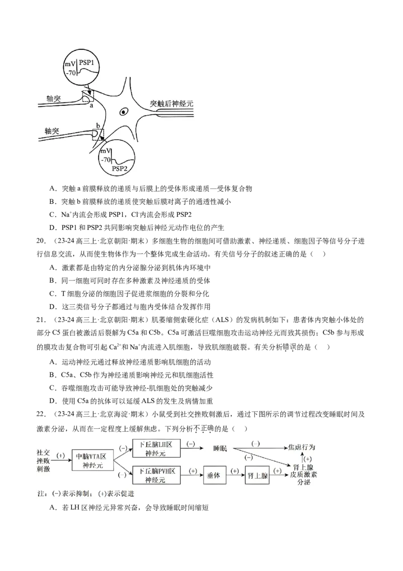 《专题11神经调节（学生版）_北京高考全科_生物_五年（2020-2024）高考生物真题分类汇编（北京专用）》第9页预览