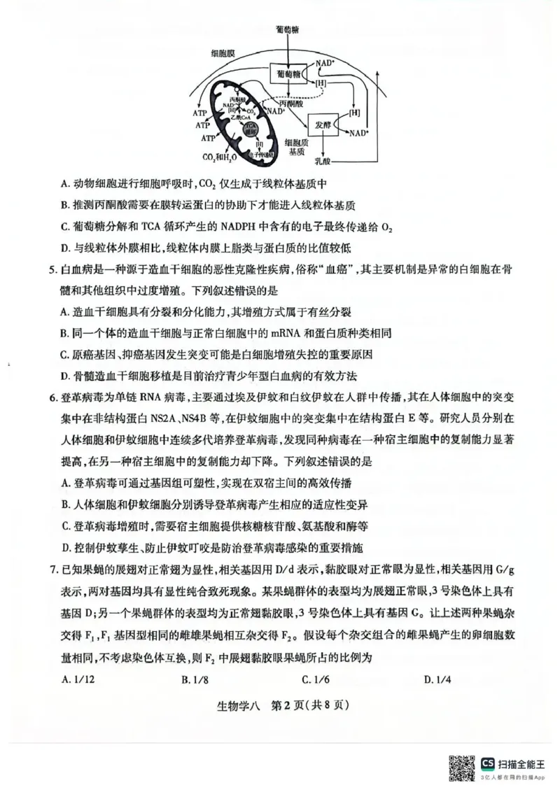 《2026年5月高三自测题库生物_2024-2027高三（6-6月题库）_2026年05月高三试卷_260526海南省海口市2026年5月高三自测题库（全科）》第2页预览