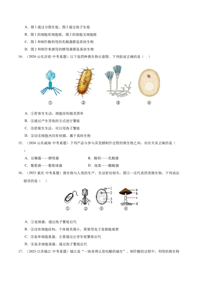 《专题09各种各样的生物（全国通用）（学生版）_2026年中考真题分类汇编9科_三年（2023-2025）中考生物真题分类汇编（全国通用）-C432》第4页预览