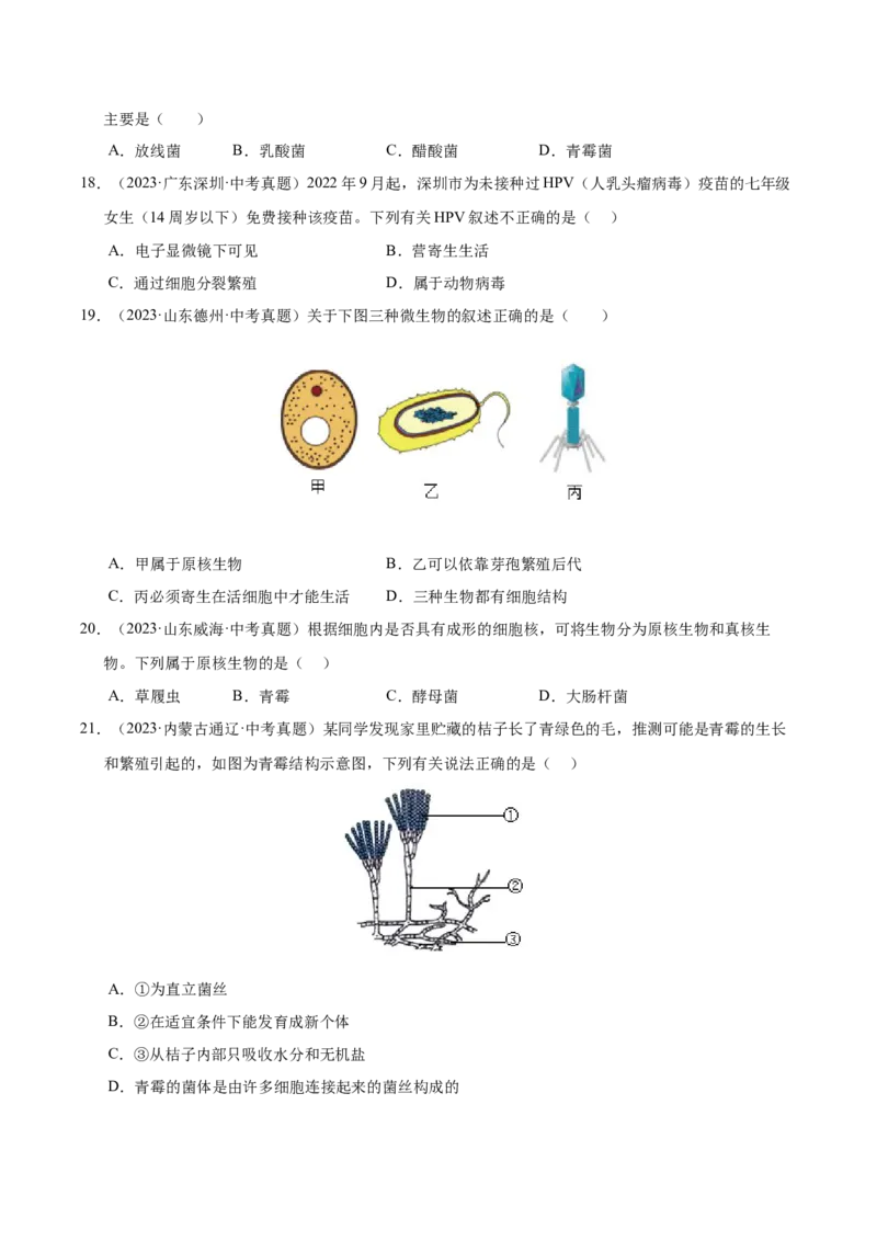 《专题09各种各样的生物（全国通用）（学生版）_2026年中考真题分类汇编9科_三年（2023-2025）中考生物真题分类汇编（全国通用）-C432》第5页预览