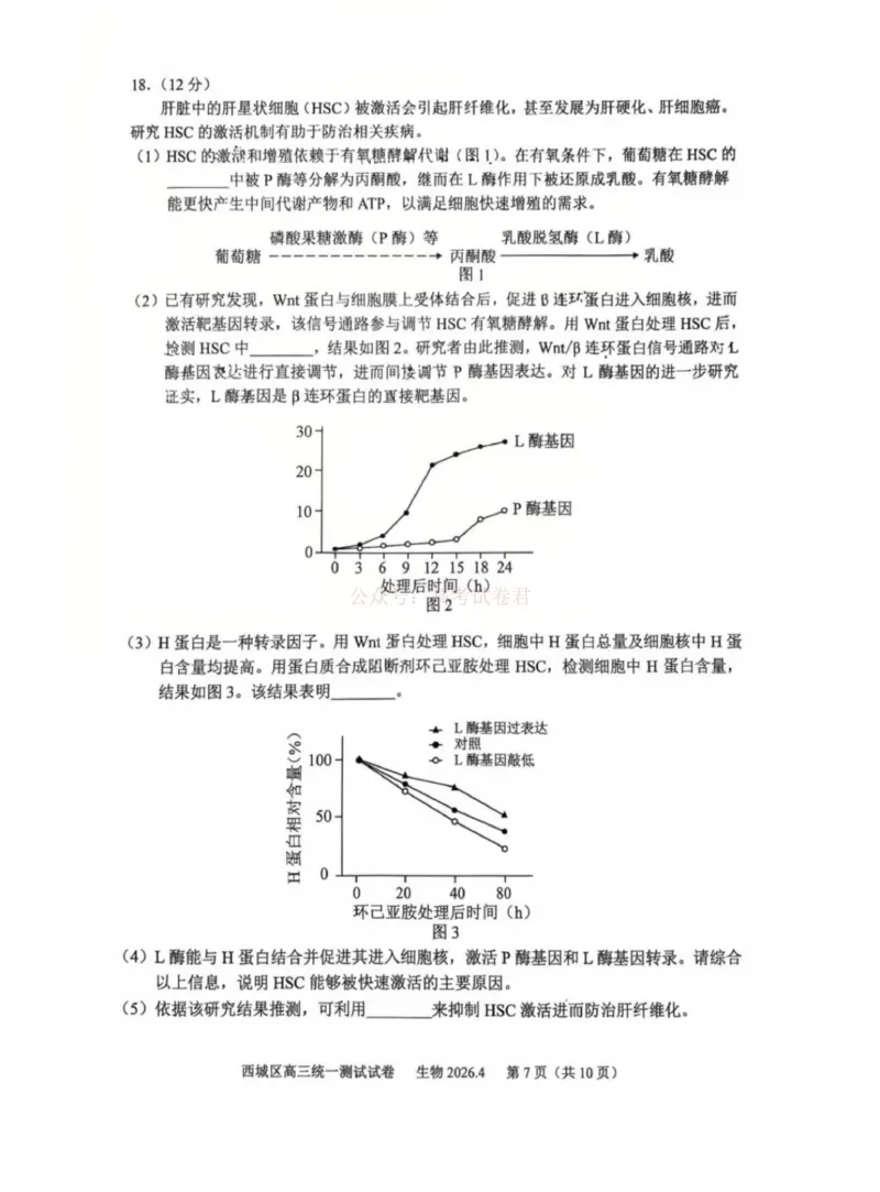 《2026年北京西城区高三一模生物试卷及答案_副本_12.2026年4月全国各地高考模拟卷_2026年4月_2026年北京市西城区高三一模_06生物_北京市西城区高三一模》第7页预览