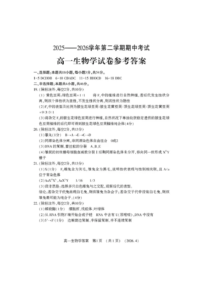 《高一生物答案_2024-2027高一（7-7月题库）(1)_2026年05月高一试卷_260504河南省洛阳市2025-2026学年高一下学期期中（全）_河南省洛阳市2025-2026学年高一下学期期中考试生物试题和答案》第1页预览