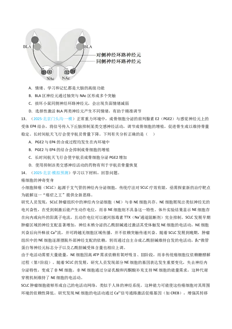 《专题10神经调节（北京专用）（学生版）_北京高考全科_生物_5年（2021-2025）高考生物真题分类汇编（北京专用）》第7页预览
