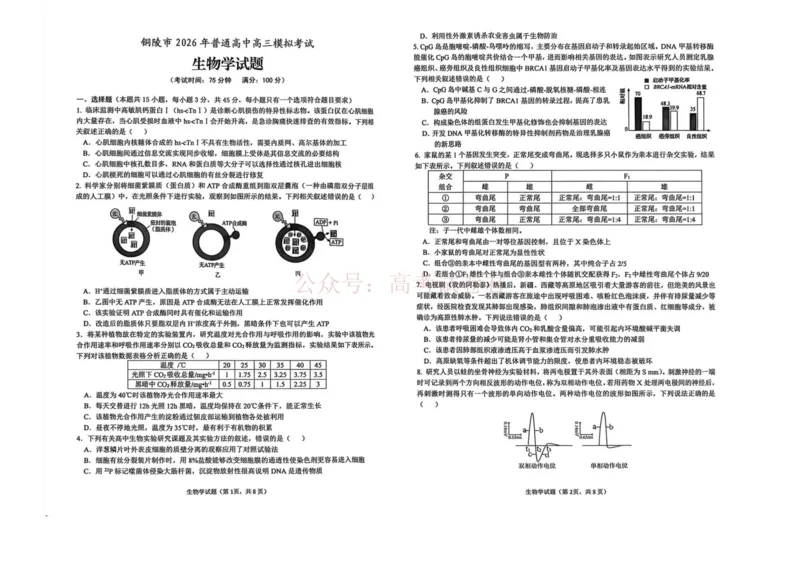 《安徽省铜陵、黄山、宣城（三市二模）2026届高三4月份质量检测生物_副本(1)_12.2026年4月全国各地高考模拟卷_2026年4月_2026届安徽省三市高三4月份质量检测全科》第1页预览