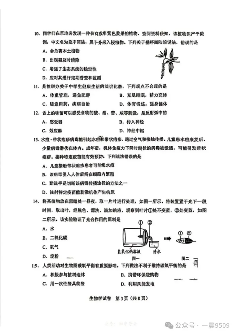 《205年河北省中考生物真题原卷完整版_12.2026年4月全国各地高考模拟卷_2026版初中金考卷•45套中考试卷汇编系列合集_全国版中考真题_2025年全国中考真题答案（按省市分类）(10)_河北省》第3页预览