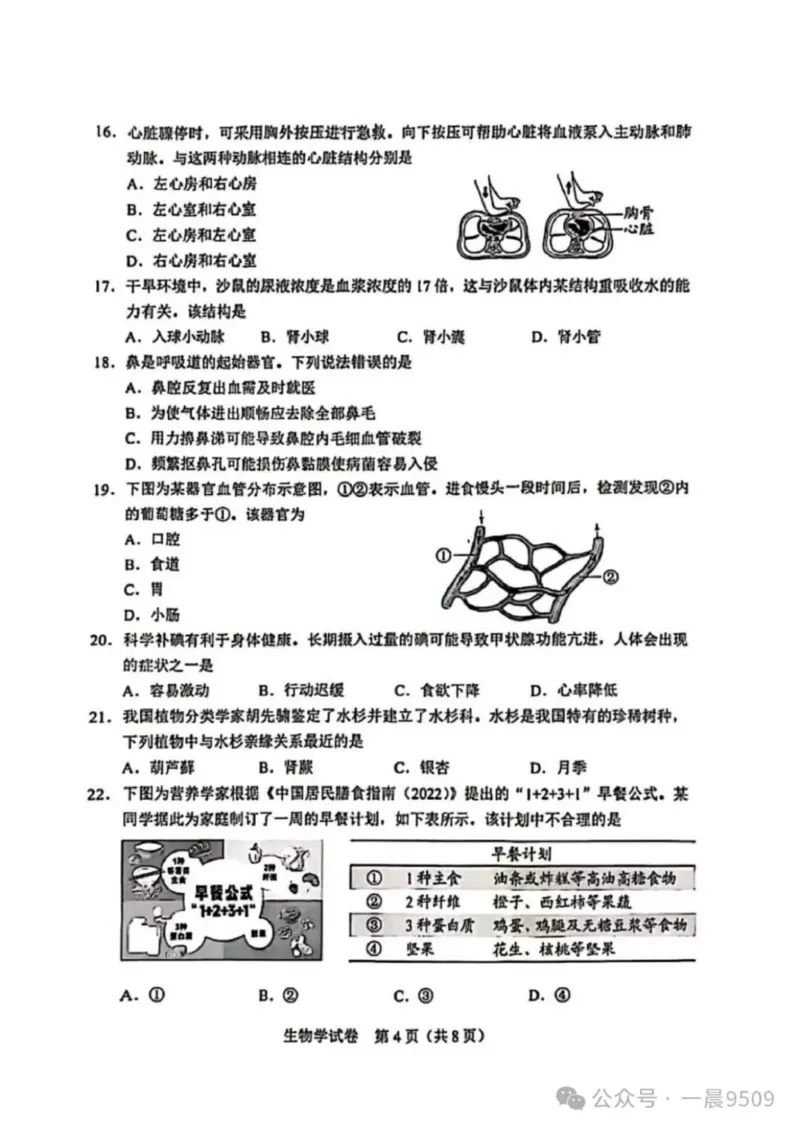 《205年河北省中考生物真题原卷完整版_12.2026年4月全国各地高考模拟卷_2026版初中金考卷•45套中考试卷汇编系列合集_全国版中考真题_2025年全国中考真题答案（按省市分类）(10)_河北省》第4页预览