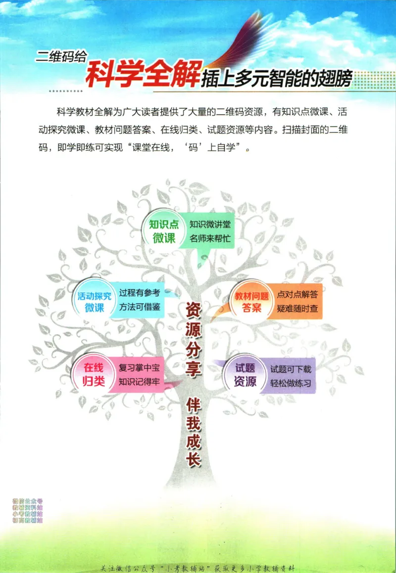 《小学教材全解二年级下册科学教科版_薛金星小学教材全解(2)》第3页预览