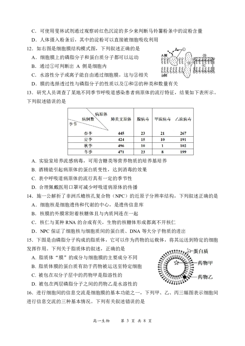 《25级高一上期中考生物试题_2026年高一《月考+期中考+阶段性检测真题合集》全国各省全科无水印_广东省汕头市金山中学2026学年高一上学期期中考试（全）》第3页预览