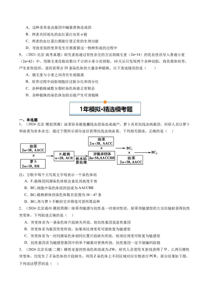 《专题09变异、育种与进化（学生版）_北京高考全科_生物_五年（2020-2024）高考生物真题分类汇编（北京专用）》第4页预览