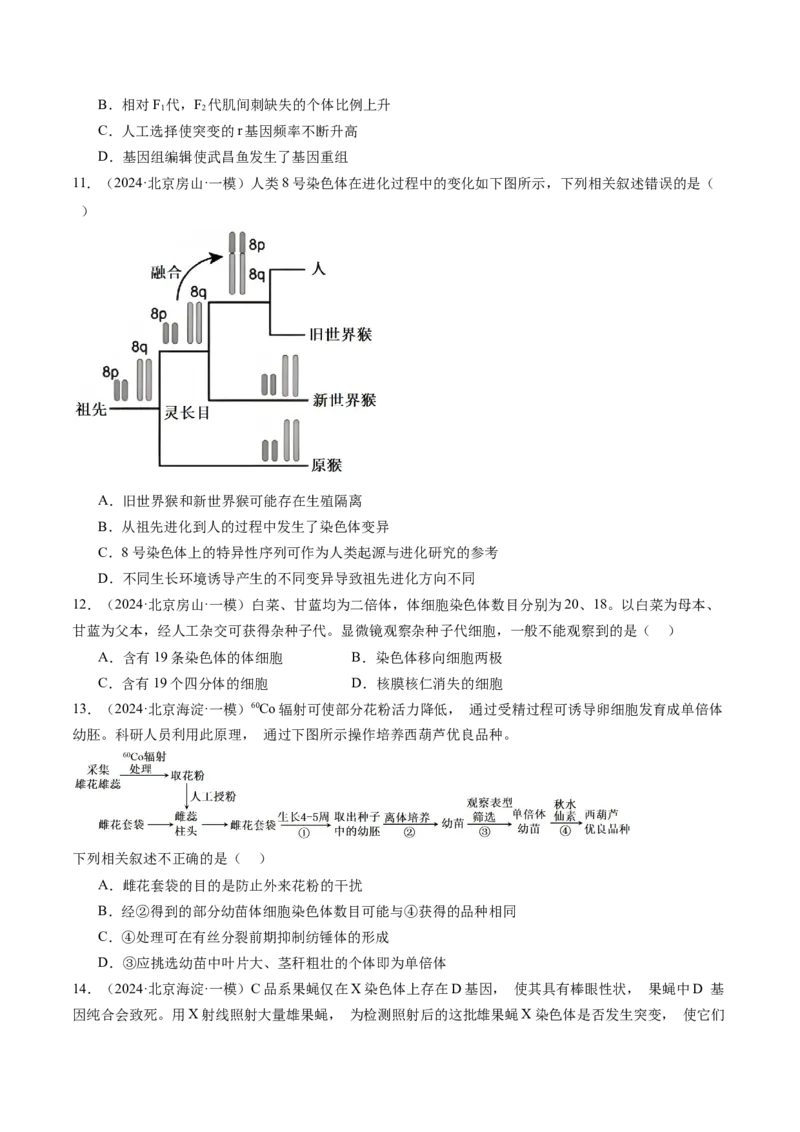 《专题09变异、育种与进化（学生版）_北京高考全科_生物_五年（2020-2024）高考生物真题分类汇编（北京专用）》第7页预览