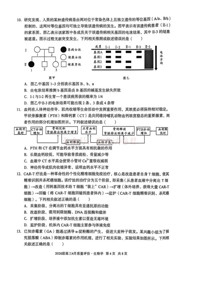 《安徽省1号卷A10联盟2026届高三4月质量评估联考生物_12.2026年4月全国各地高考模拟卷_2026年4月_A10联盟4月质量评估2026年安徽省A10联盟高三4月质量评估联考全科》第4页预览