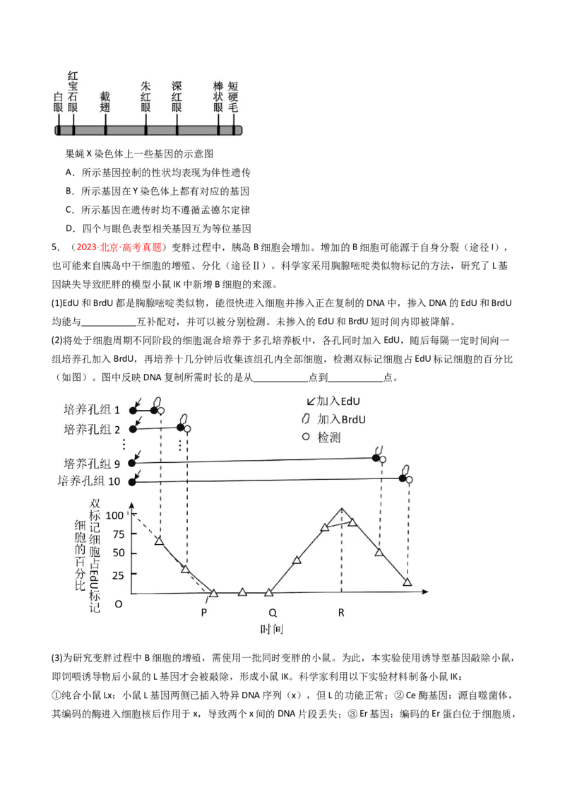 《专题05遗传的分子基础（北京专用）（学生版）_北京高考全科_生物_5年（2021-2025）高考生物真题分类汇编（北京专用）》第2页预览