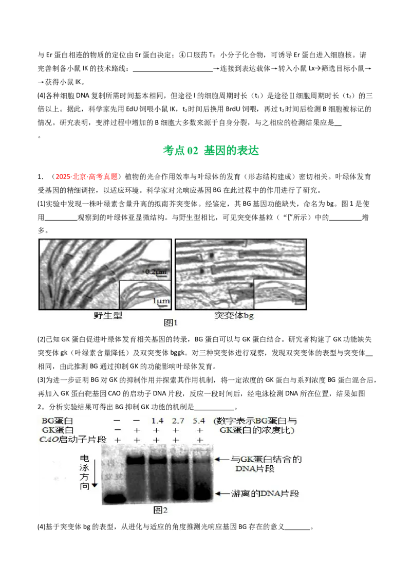 《专题05遗传的分子基础（北京专用）（学生版）_北京高考全科_生物_5年（2021-2025）高考生物真题分类汇编（北京专用）》第3页预览