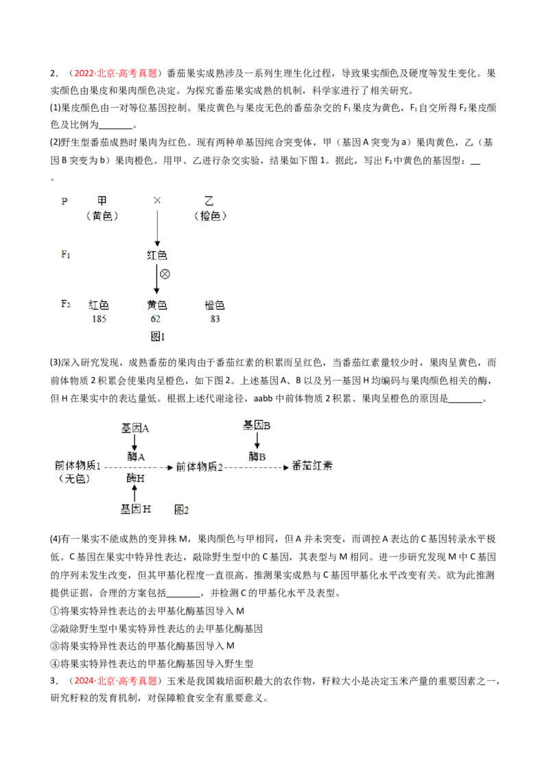 《专题05遗传的分子基础（北京专用）（学生版）_北京高考全科_生物_5年（2021-2025）高考生物真题分类汇编（北京专用）》第4页预览