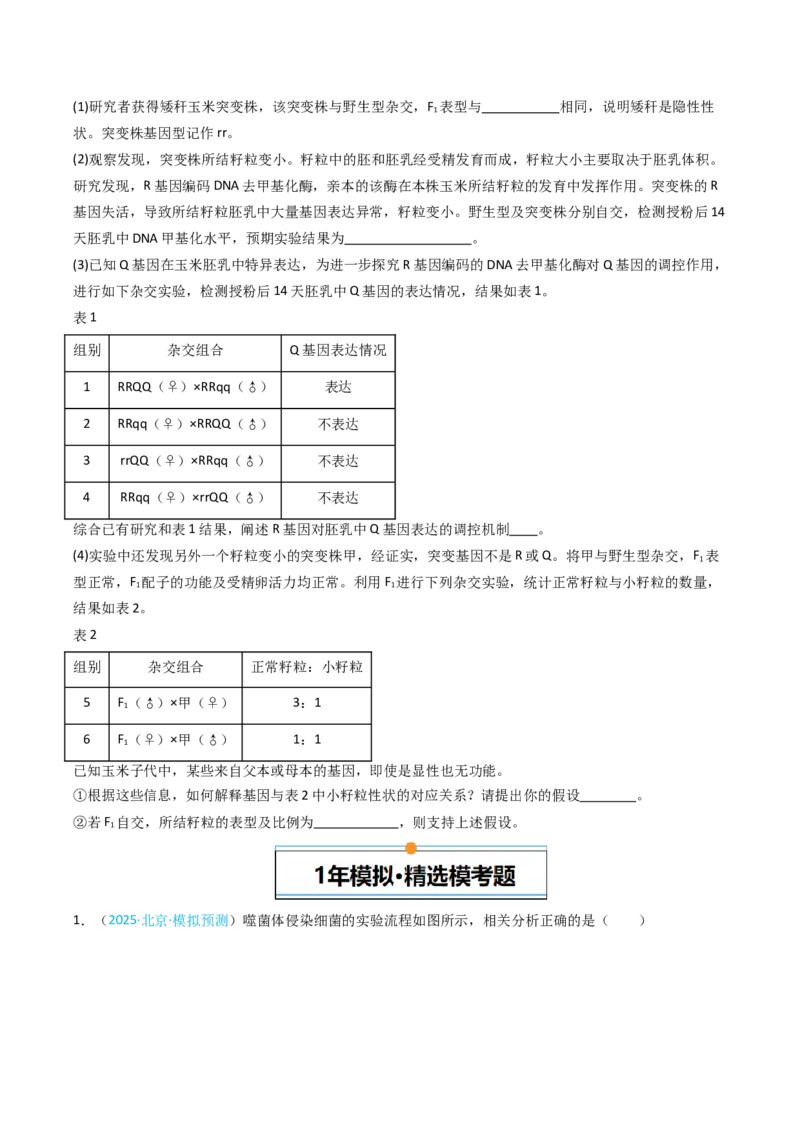 《专题05遗传的分子基础（北京专用）（学生版）_北京高考全科_生物_5年（2021-2025）高考生物真题分类汇编（北京专用）》第5页预览