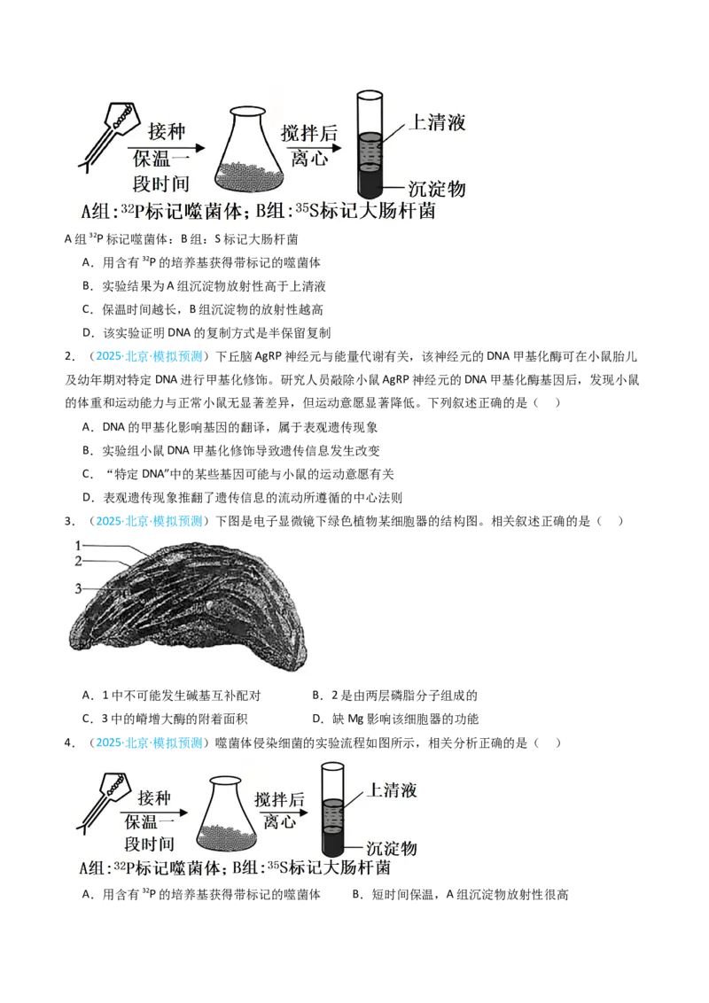 《专题05遗传的分子基础（北京专用）（学生版）_北京高考全科_生物_5年（2021-2025）高考生物真题分类汇编（北京专用）》第6页预览