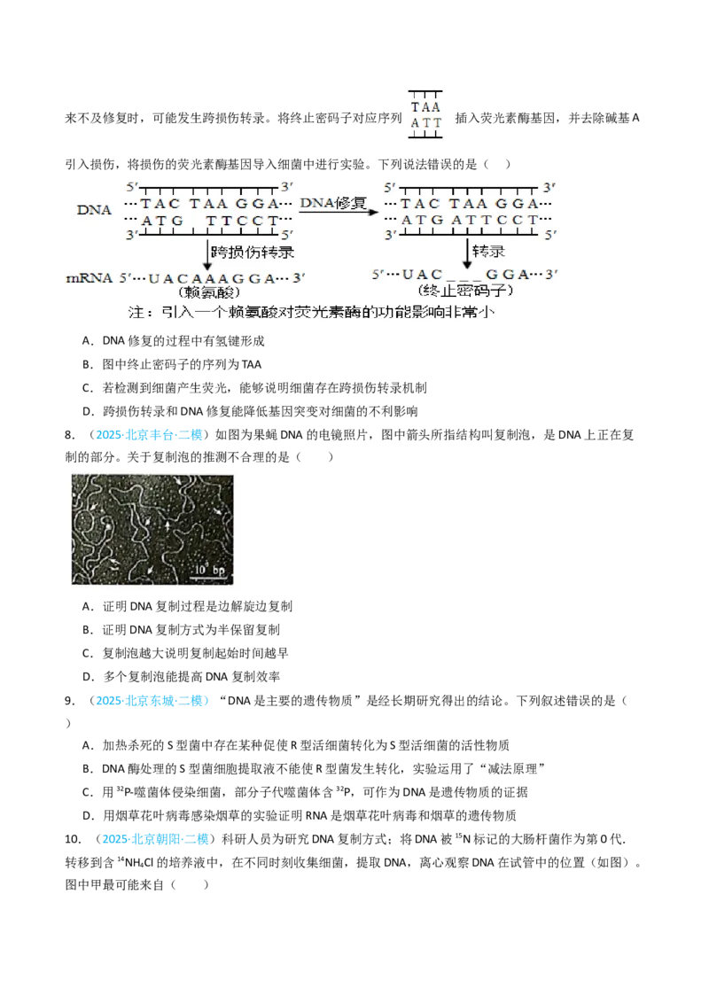 《专题05遗传的分子基础（北京专用）（学生版）_北京高考全科_生物_5年（2021-2025）高考生物真题分类汇编（北京专用）》第8页预览