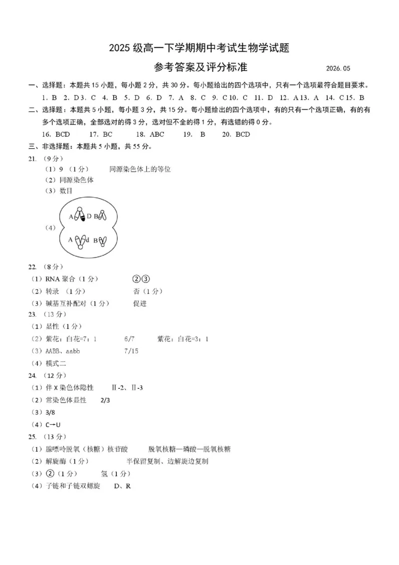 《高一生物试题答案_2024-2027高一（7-7月题库）(1)_2026年05月高一试卷_260525山东省日照市2025-2026学年高一下学期期中考试》第1页预览