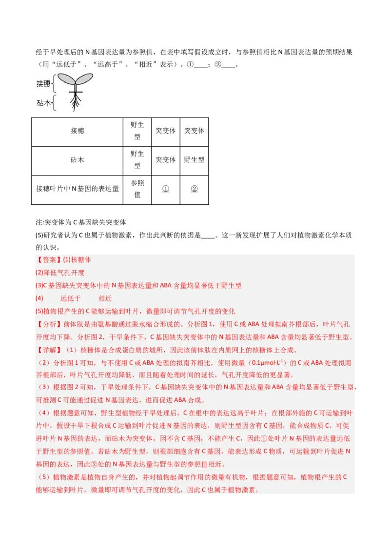 《专题09植物的激素调节（北京专用）（教师版）_北京高考全科_生物_5年（2021-2025）高考生物真题分类汇编（北京专用）》第9页预览