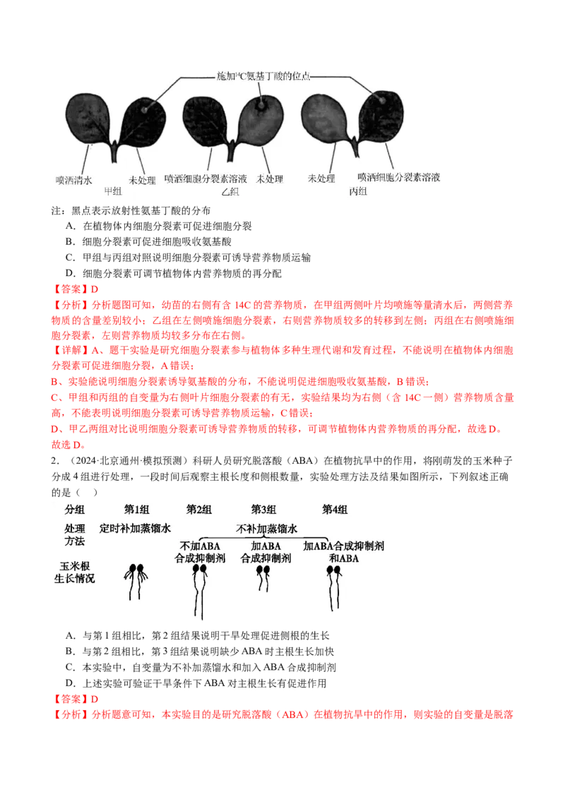 《专题10植物的激素调节（教师版）_北京高考全科_生物_五年（2020-2024）高考生物真题分类汇编（北京专用）》第8页预览