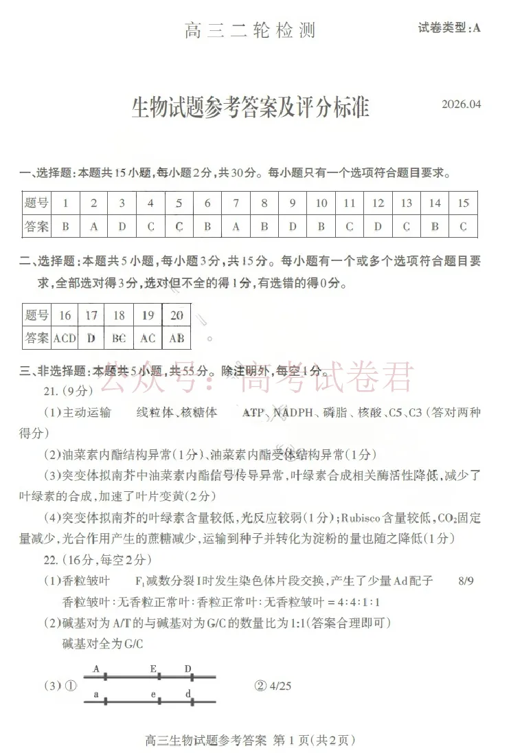 《生物答案_12.2026年4月全国各地高考模拟卷_2026年4月_山东泰安二模2026年山东省泰安市高三二模考试全科_06生物_山东省泰安市高三二模考试》第1页预览