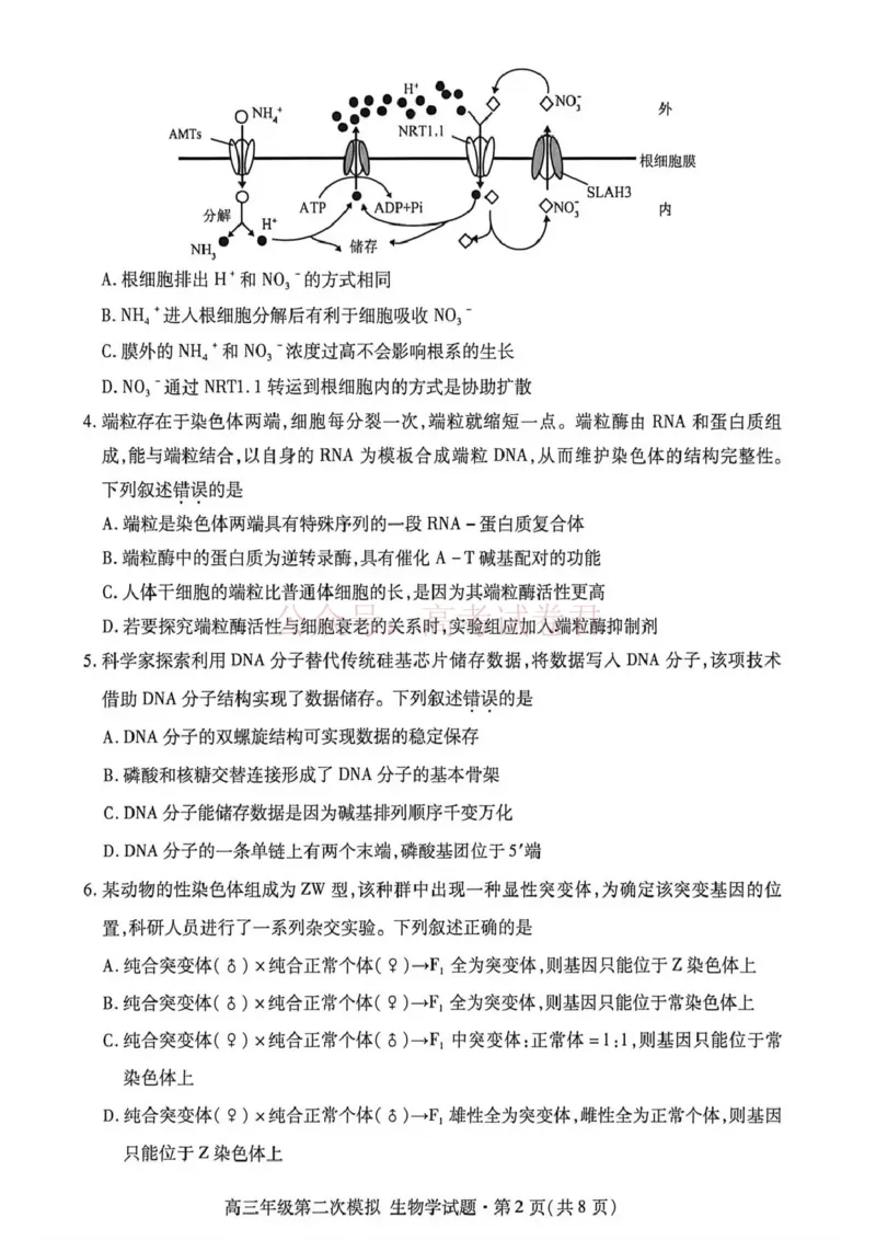 《2026年高三年级第二次模拟考试试题生物_副本_12.2026年4月全国各地高考模拟卷_2026年4月_2026届甘肃省高三年级第二次模拟考试全科_06生物_甘肃省高三年级第二次模拟考试》第2页预览