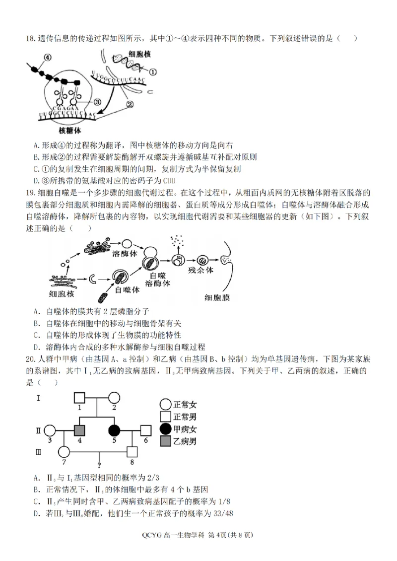 《高一生物试题_2024-2027高一(7-7月题库)(1)_2026年05月高一试卷_260525浙江省七彩阳光2025-2026学年高一下学期4月期中考试(全)》第4页预览