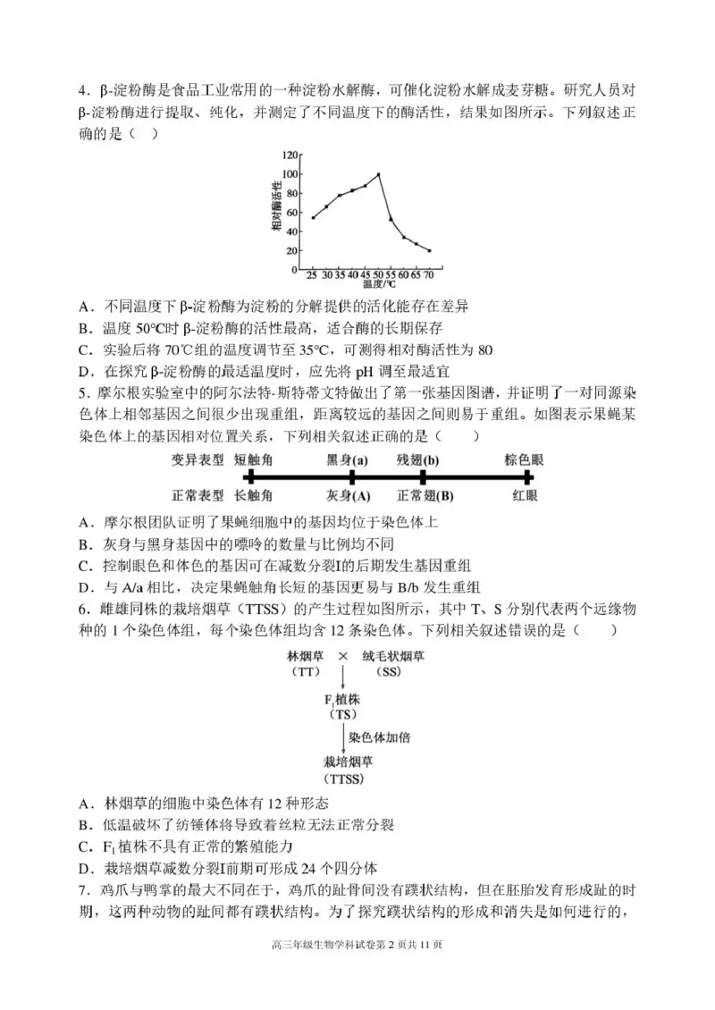 《东北育才学校2025-2026学年高三下学期临考提升卷生物_2024-2027高三（6-6月题库）_2026年06月高三试卷_260603辽宁沈阳市东北育才学校2025-2026学年高三下学期临考提升卷》第2页预览