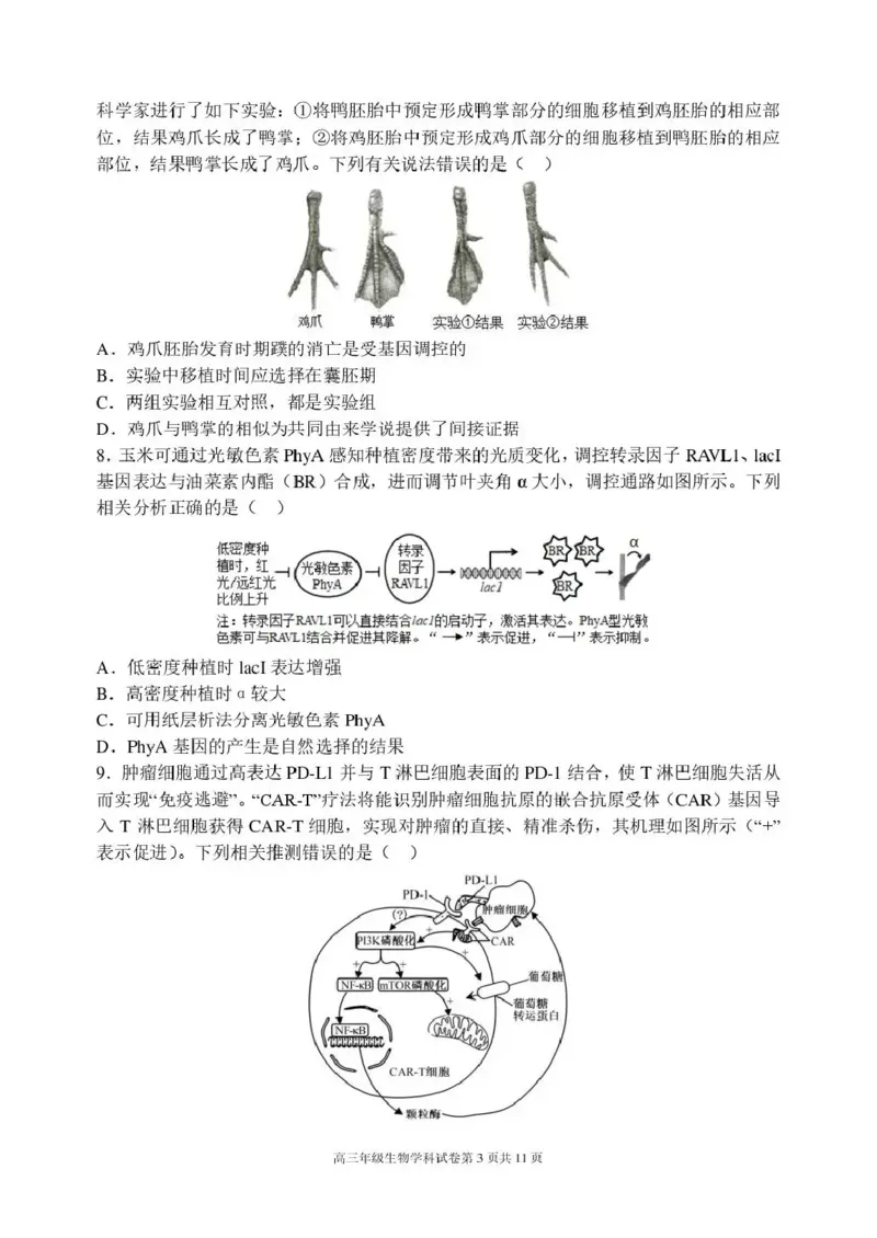 《东北育才学校2025-2026学年高三下学期临考提升卷生物_2024-2027高三（6-6月题库）_2026年06月高三试卷_260603辽宁沈阳市东北育才学校2025-2026学年高三下学期临考提升卷》第3页预览