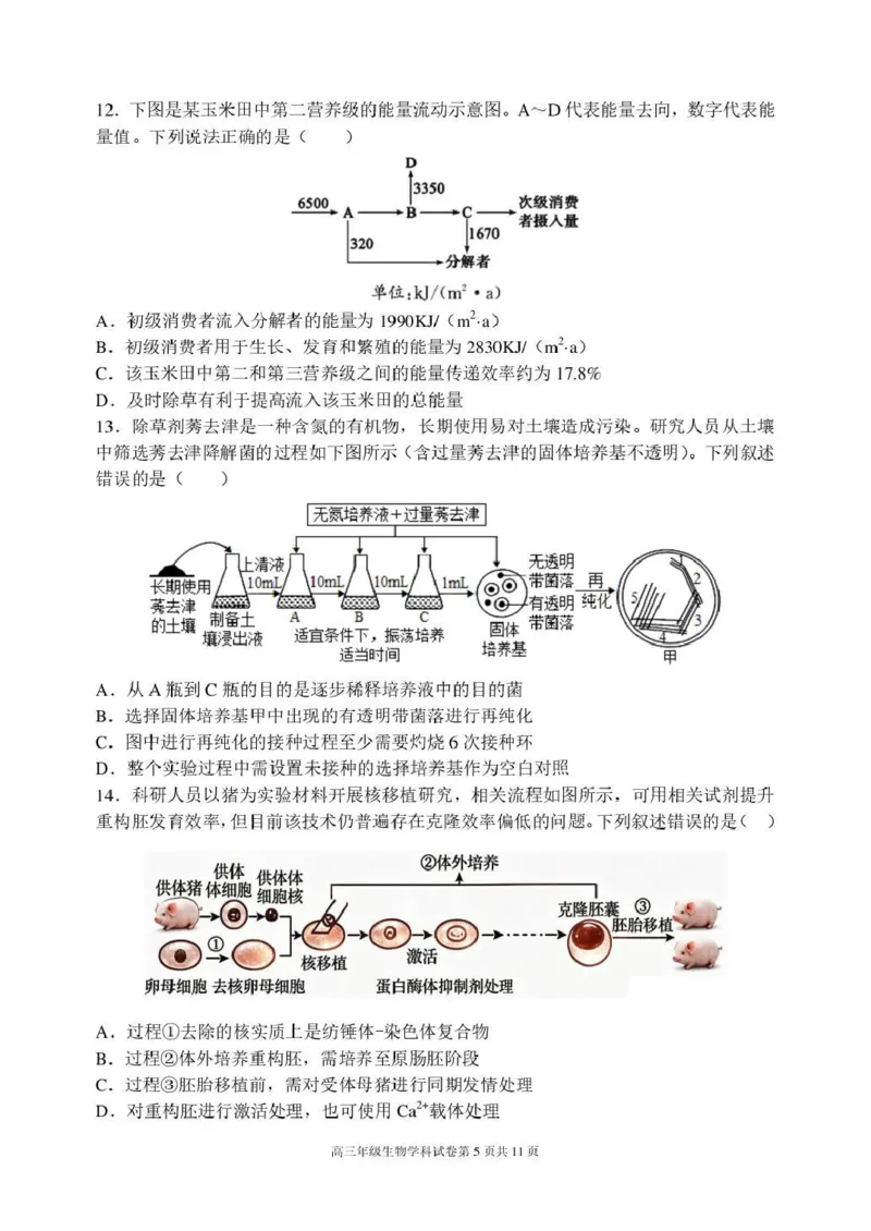 《东北育才学校2025-2026学年高三下学期临考提升卷生物_2024-2027高三（6-6月题库）_2026年06月高三试卷_260603辽宁沈阳市东北育才学校2025-2026学年高三下学期临考提升卷》第5页预览