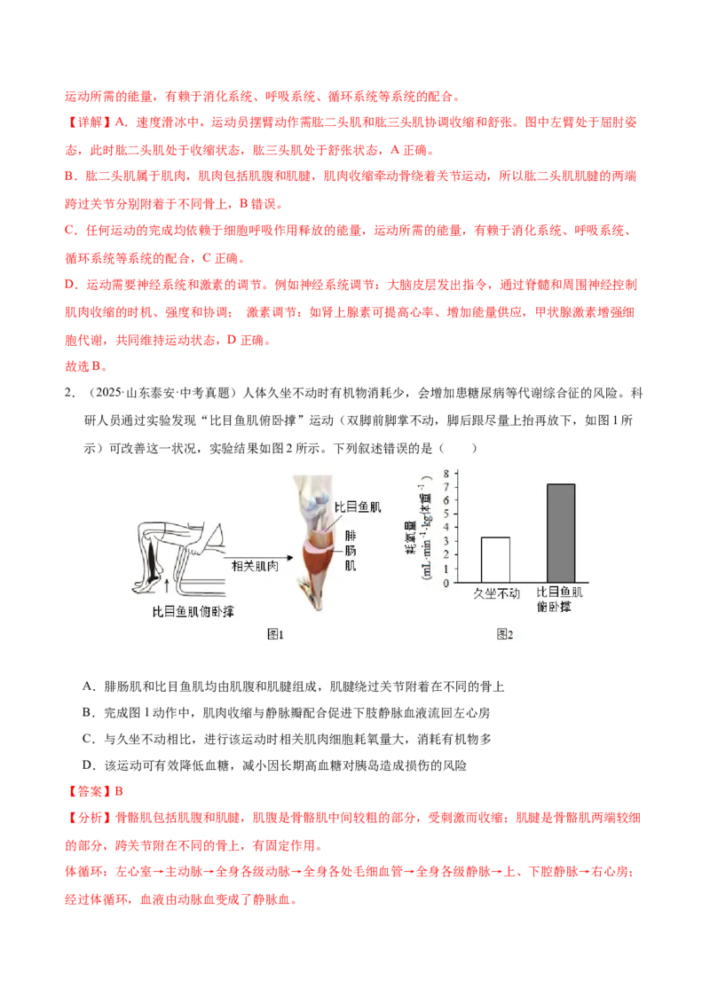 《专题08动物的运动和行为（全国通用）（教师版）_2026年中考真题分类汇编9科_三年（2023-2025）中考生物真题分类汇编（全国通用）-C432》第2页预览