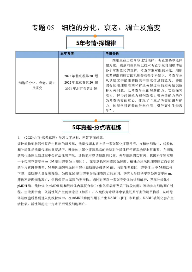 《专题05细胞的分化、衰老、凋亡及癌变（学生版）_北京高考全科_生物_五年（2020-2024）高考生物真题分类汇编（北京专用）》第1页预览