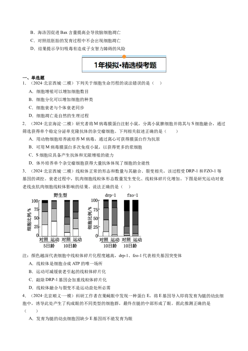 《专题05细胞的分化、衰老、凋亡及癌变（学生版）_北京高考全科_生物_五年（2020-2024）高考生物真题分类汇编（北京专用）》第4页预览