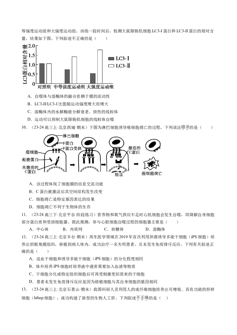 《专题05细胞的分化、衰老、凋亡及癌变（学生版）_北京高考全科_生物_五年（2020-2024）高考生物真题分类汇编（北京专用）》第6页预览