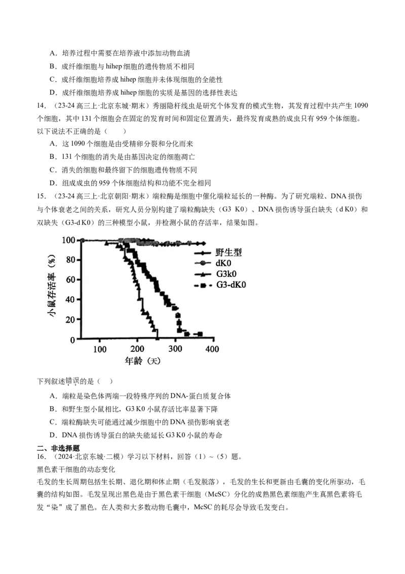 《专题05细胞的分化、衰老、凋亡及癌变（学生版）_北京高考全科_生物_五年（2020-2024）高考生物真题分类汇编（北京专用）》第7页预览