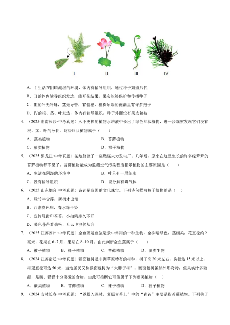 《专题03绿色开花植物的一生（全国通用）（学生版）_2026年中考真题分类汇编9科_三年（2023-2025）中考生物真题分类汇编（全国通用）-C432》第2页预览