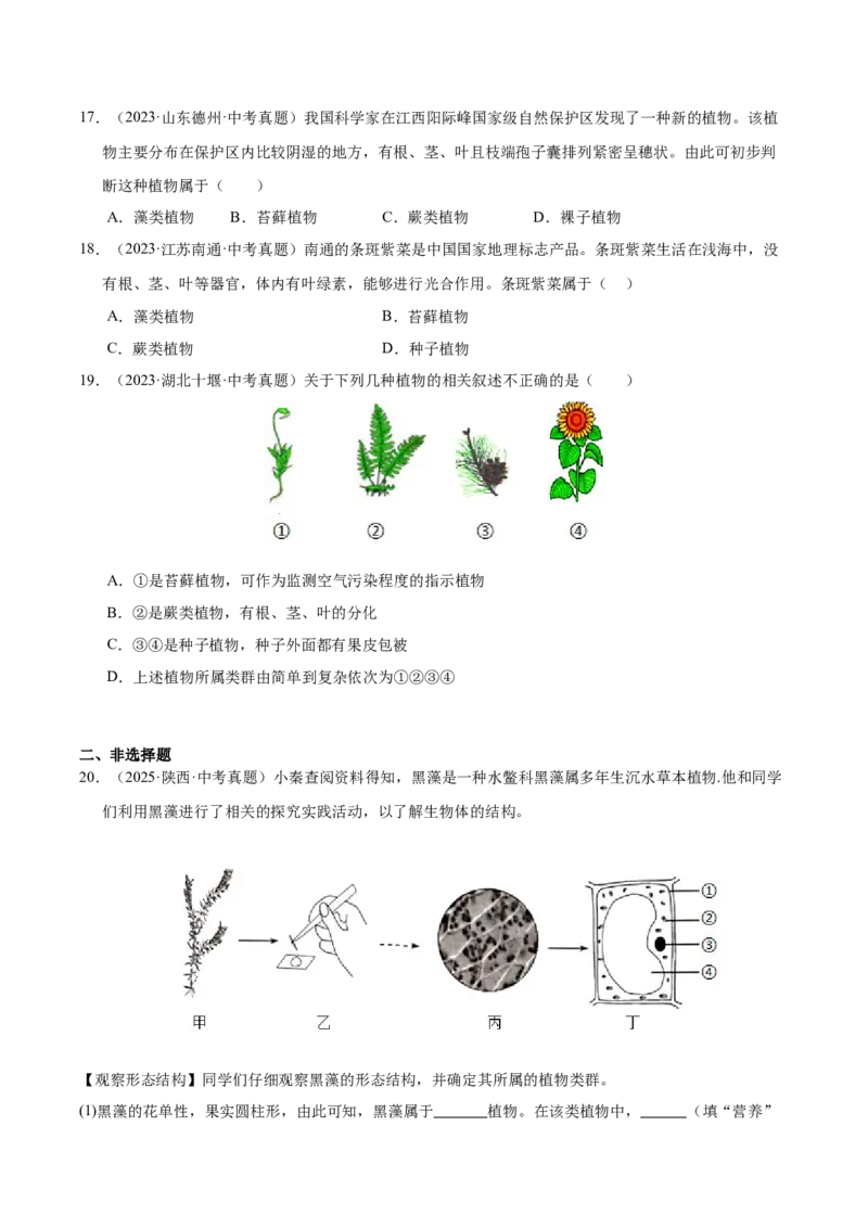 《专题03绿色开花植物的一生（全国通用）（学生版）_2026年中考真题分类汇编9科_三年（2023-2025）中考生物真题分类汇编（全国通用）-C432》第4页预览