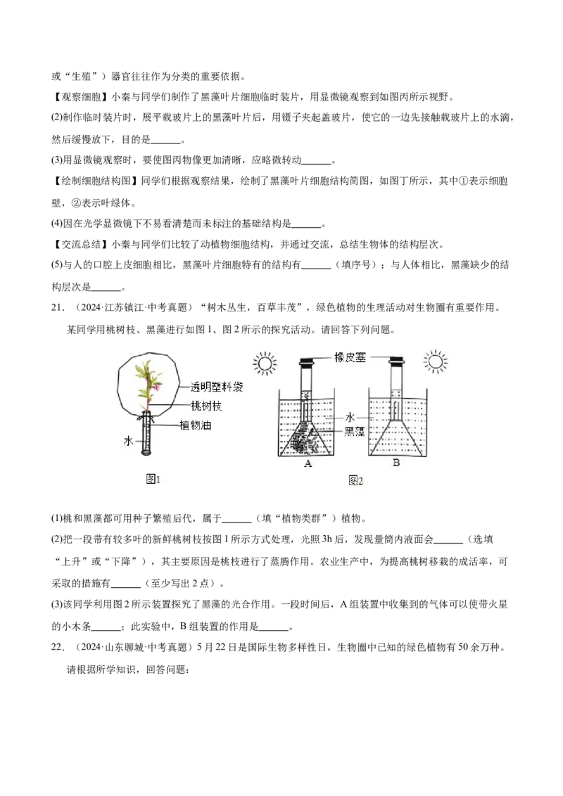 《专题03绿色开花植物的一生（全国通用）（学生版）_2026年中考真题分类汇编9科_三年（2023-2025）中考生物真题分类汇编（全国通用）-C432》第5页预览