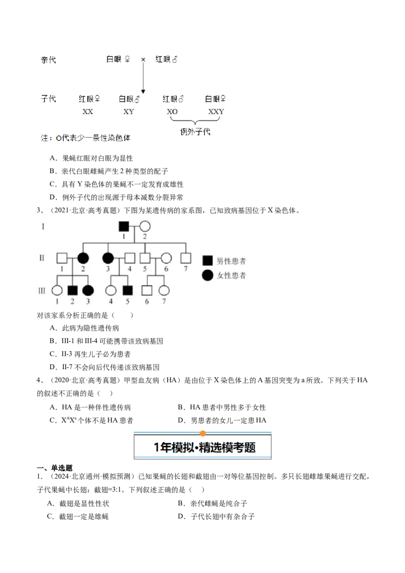《专题08伴性遗传和人类遗传病（学生版）_北京高考全科_生物_五年（2020-2024）高考生物真题分类汇编（北京专用）》第2页预览